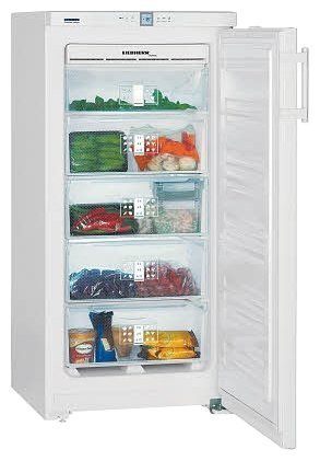 Liebherr GNP 1956 морозильный шкаф соло