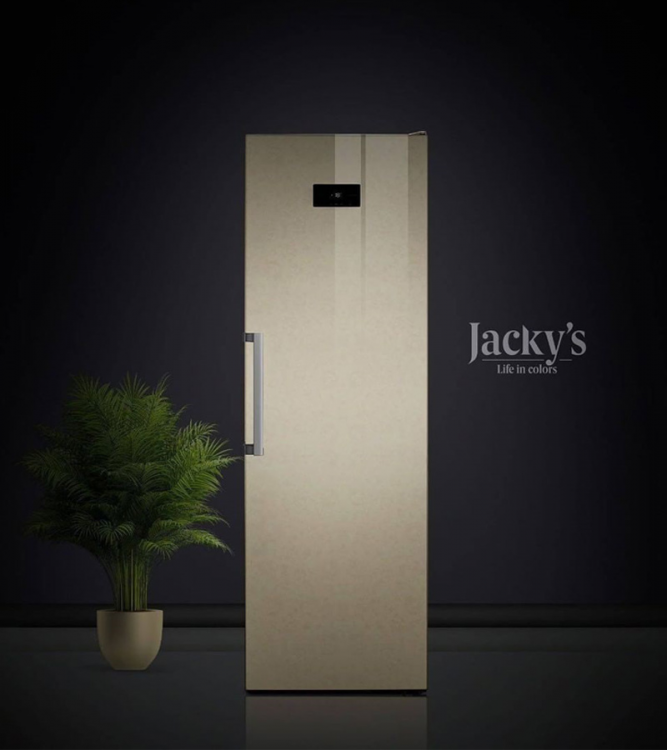 Jacky's JF FV1860 отдельностоящая морозильная камера