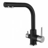 Paulmark ESSEN Es213011-418 черный металлик смеситель