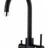 Paulmark ESSEN Es213211-308 черный смеситель
