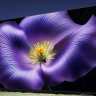 Xiaomi S pro 98 Mini Led 2026 L98MС-SP телевизор