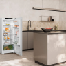 Liebherr Rf 4600 холодильник