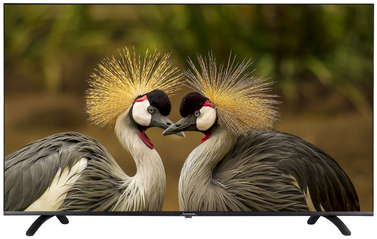 Schaub Lorenz SLT43SU7500 телевизор