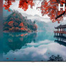 Haier 50 Smart TV M1 телевизор